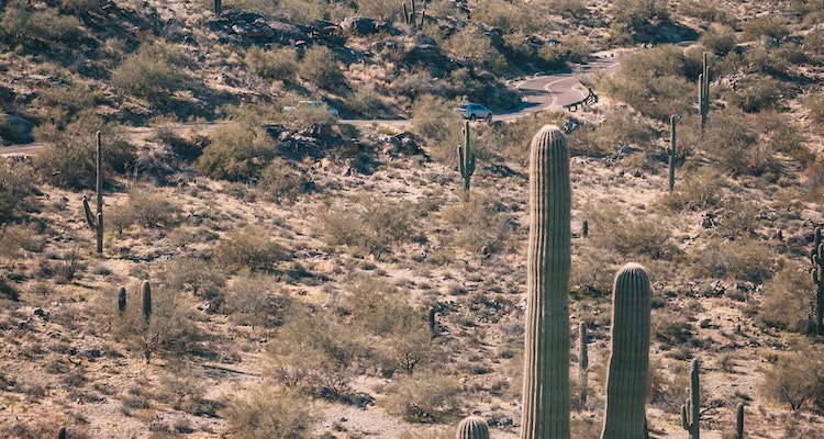 Phoenix's Hot Climate: The Power of Energy Efficiency Upgrades